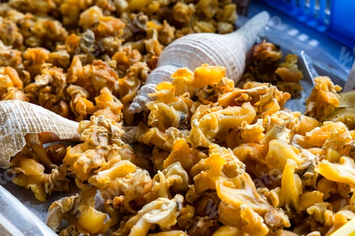 Preview: Dry conch sell in the seafood store