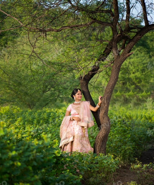 Preview: Beautiful Indian bride in traditional wedding dress.