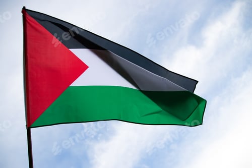 Preview: Close up view of the flag of Palestine waving in the wind