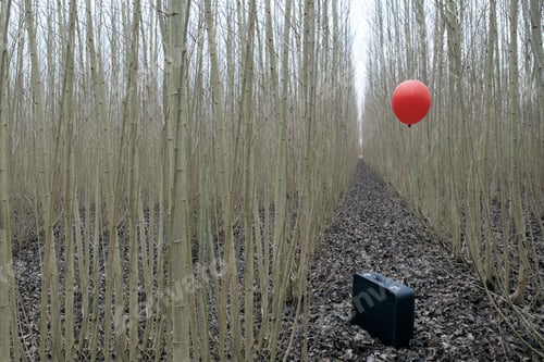 Preview: Suitcase with red ballon between osier