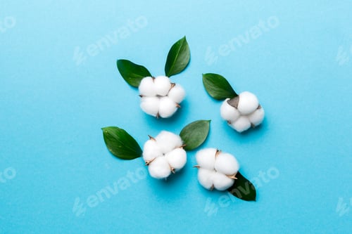 Preview: Autumn Floral Flat lay background composition. Dried white fluffy cotton flower branch