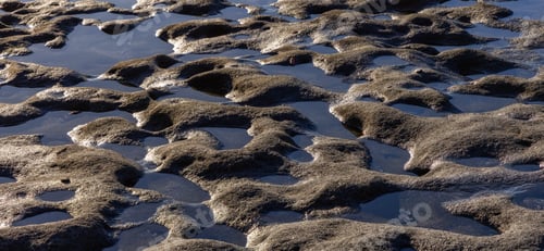 Preview: Rocky Shore on the Pacific Ocean Coast. Sunny Sunset. Nature Background