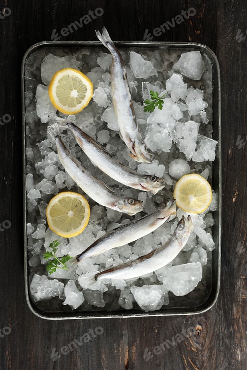 Preview: Fresh Capelin Fish or Shisamo Baby Fish