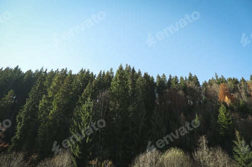 Preview: Photo of beautiful Carpathian views in Ukraine