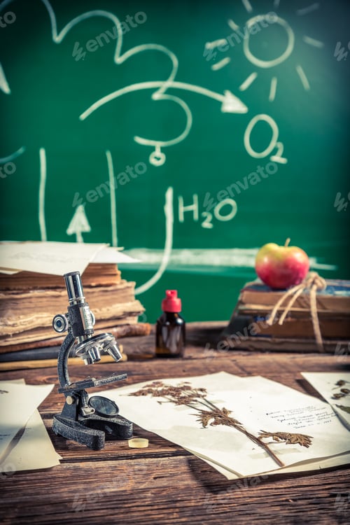 Preview: Study of plants under the microscope for biology lessons