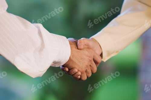 Preview: handshake, successful, congratulating, shaking
