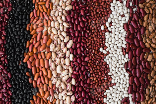 Preview: Different varieties of bean seeds. Beans background.