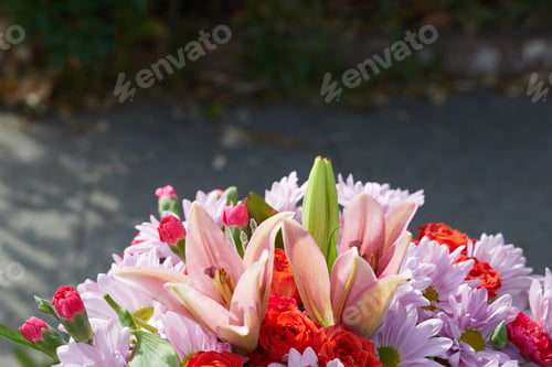 Preview: Close-up photo of bunch of colorful flowers at the Garden