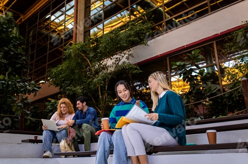 Preview: Group of student siting in campus learning together.