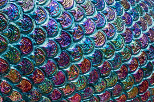 Preview: Rainbow color of close up scale naga serpent background