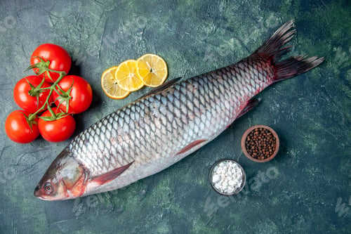 Preview: top view fresh raw fish with tomatoes and lemon slices on dark blue background shark seafood meal