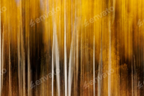 Preview: Aspen Trees Motion Blurred Artistic Image