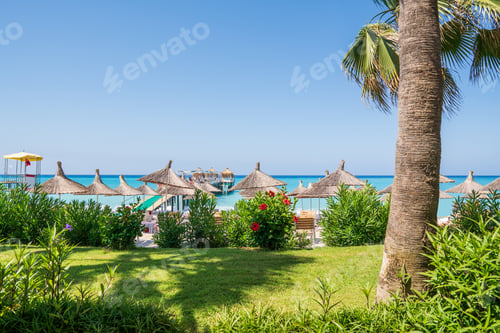 Preview: Palm and tropical beach. Tourism vacation concept