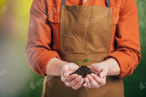 Preview: cropped view of man holding young green plant on blurred background, earth day concept