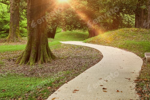 Preview: Picturesque view of tranquil park with paved pathway