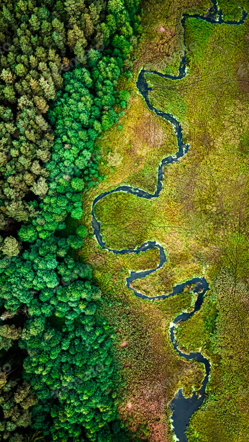 Preview: Curvy river in autumn. Aerial view of nature in Poland