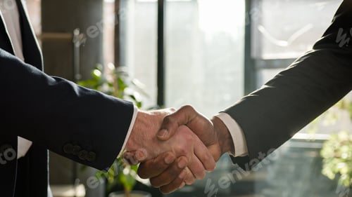 Preview: Close up two diverse men shake hands multiracial businessmen conclude successful contract agreement