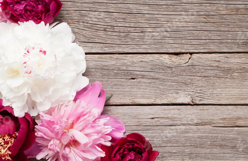 Preview: Garden peony flowers on wood
