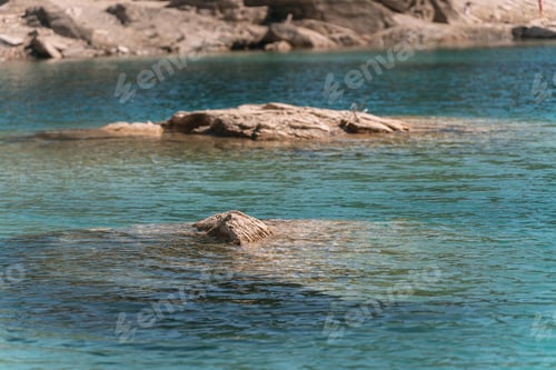 Preview: Rocks emerging from transparent turquoise water in a sunny day