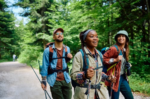 Preview: Young happy people taking a walk while hiking through nature.