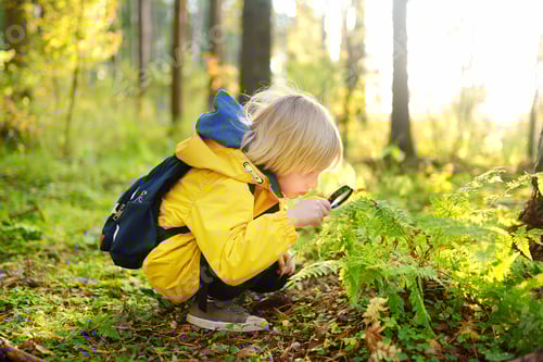 Preview: Child exploring forest fern with magnifying glass