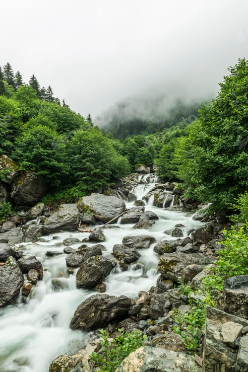 Preview: Mountain Stream