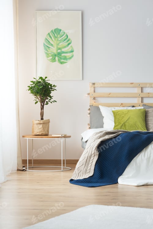 Clean Bedroom Interior With Plant And Blue Blanket
