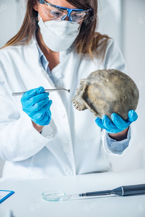 Preview: Forensic scientist examining human skull