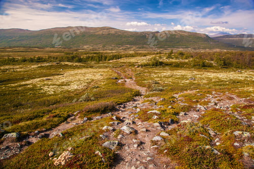 Preview: mountain landscape Norway national park Dovre