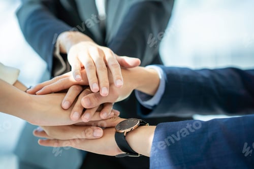 Preview: Business partners teamwork or friendship concept. Multiethnic diverse group of colleagues join hands