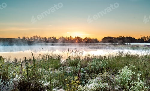 Preview: Sunrise over a field