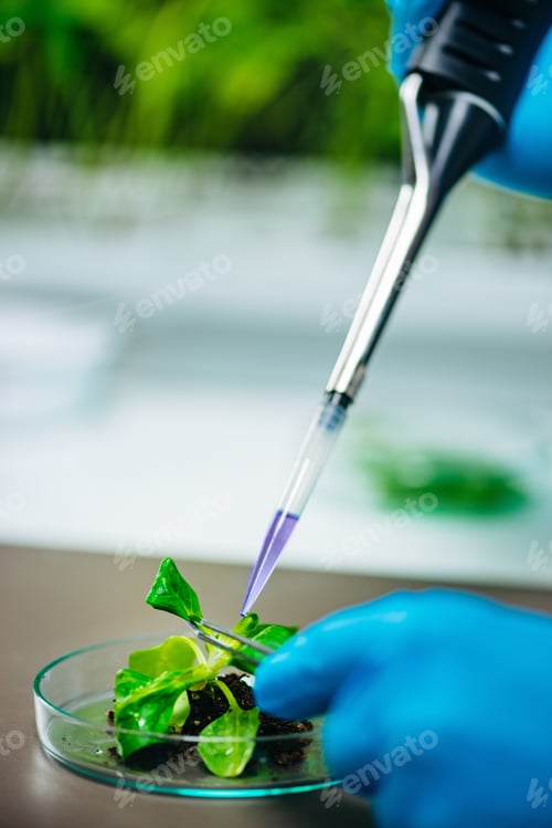 Preview: Biologist doing experiments with plant root