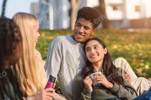 Preview: Multiethnic teen couple having picnic with friends at park