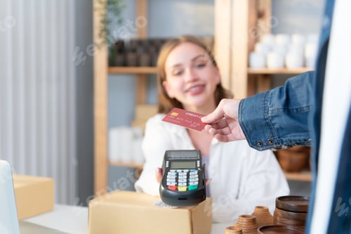 Preview: Young woman small business owner with a credit card payment system