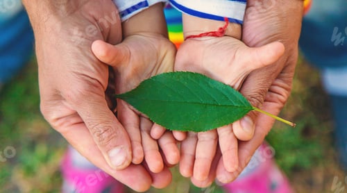 Preview: children and parents hold a piece of leaf in their hands. Selective focus.