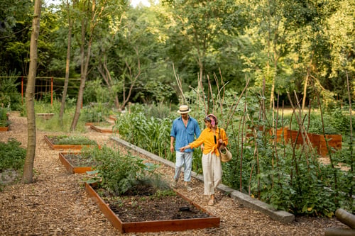 Preview: Farmers walk at farmland during sunset