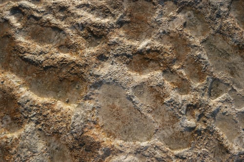 Preview: Pamukkale travertine pools surface.