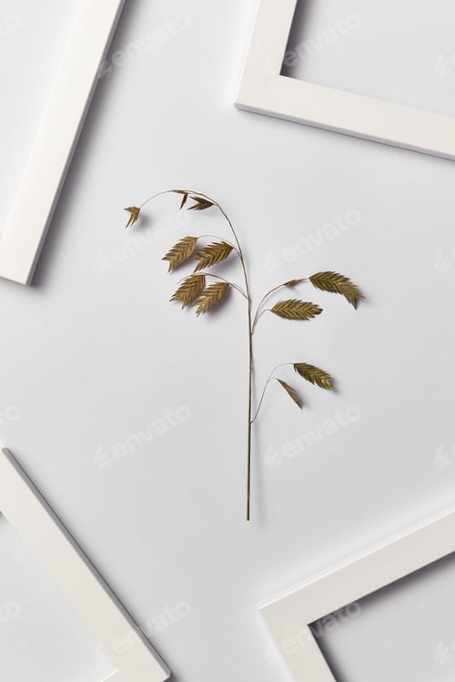 Preview: Plant composition with empty frames and natural branch on a light background