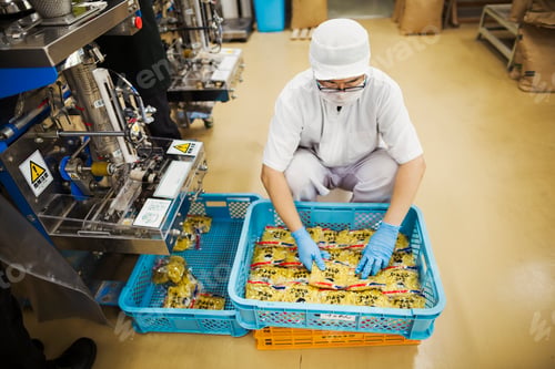 Preview: Worker in a factory producing Soba noodles, packing fresh noodles for distribution and sale.