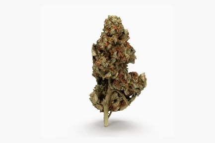 Preview: Mature Cannabis Bud with Pistils