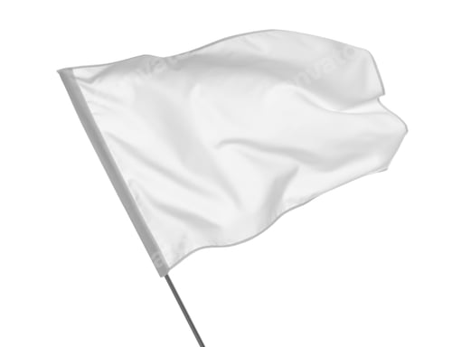 Preview: Blank flag isolated on white. Mockup for design