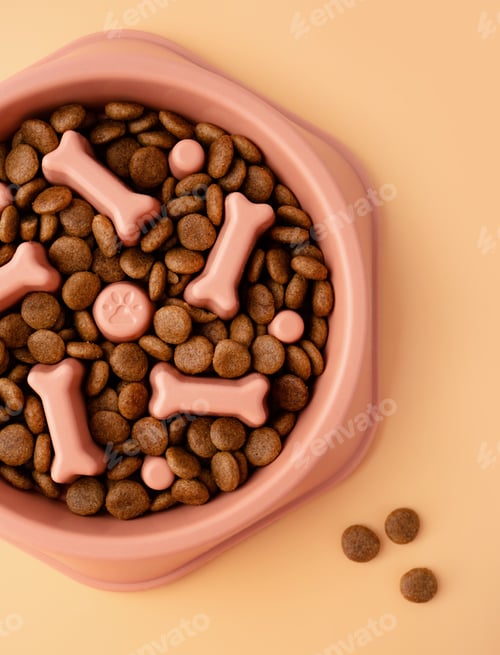 Preview: Cat and dog orange slow Feeding Bowl on orange background