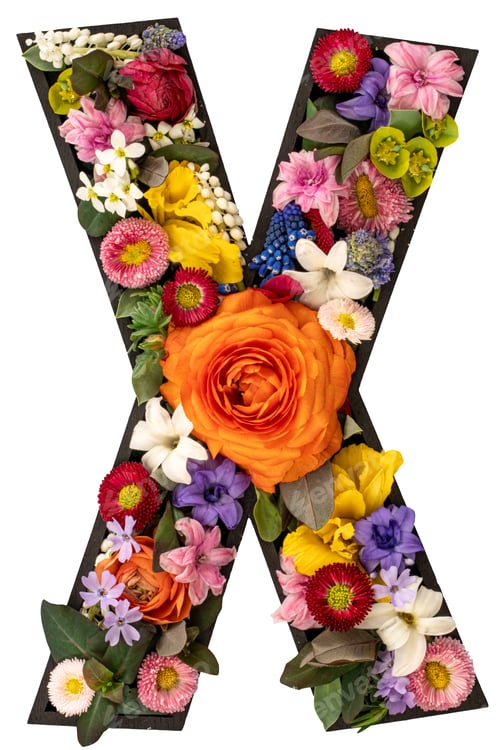 Preview: Letter X made of real natural flowers and leaves on white background isolated.