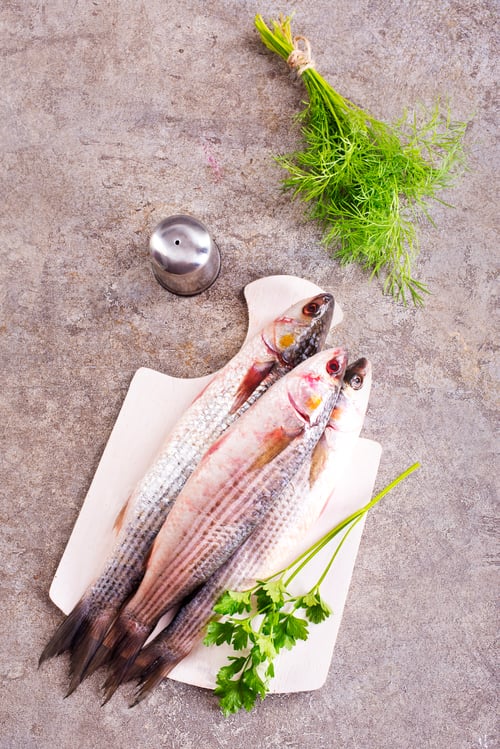 Preview: Gray Mullet Fish (Kefal) on board on a table