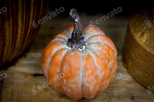 Preview: Pumpkin background.