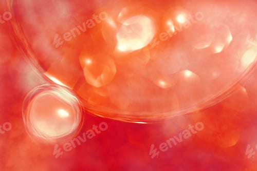 Preview: Oil bubbles close up. a circles of water macro. abstract orange and fiery red background