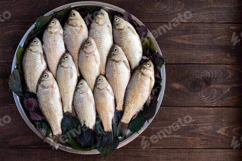 Preview: Live fish (carp), lined with on a tray on a dark wooden background. Fresh catch. The top view.