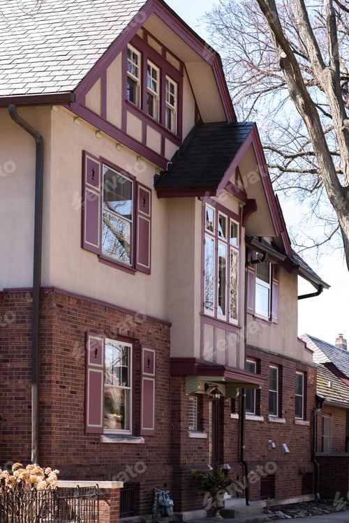 Aperçu: Big Beautiful House In A Chicago Suburban Area