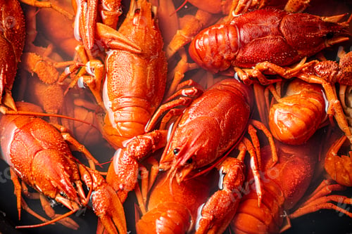 Preview: Crayfish are boiled in a pot in water.