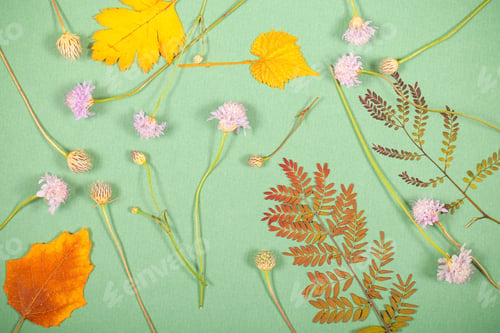 Preview: Autumn Leaves Lie On The Table Background Image